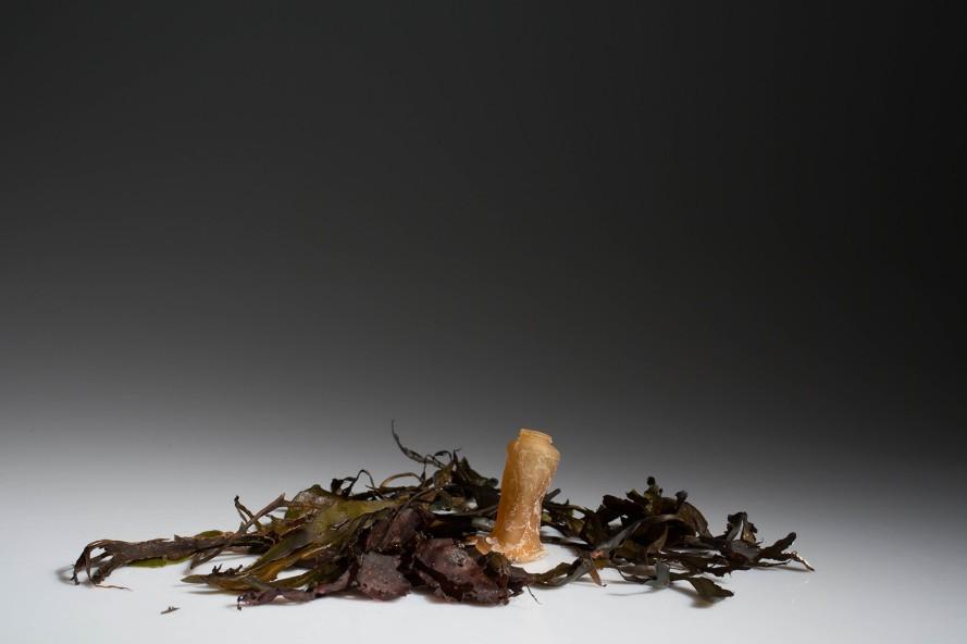 Yenilebilir su şişesi