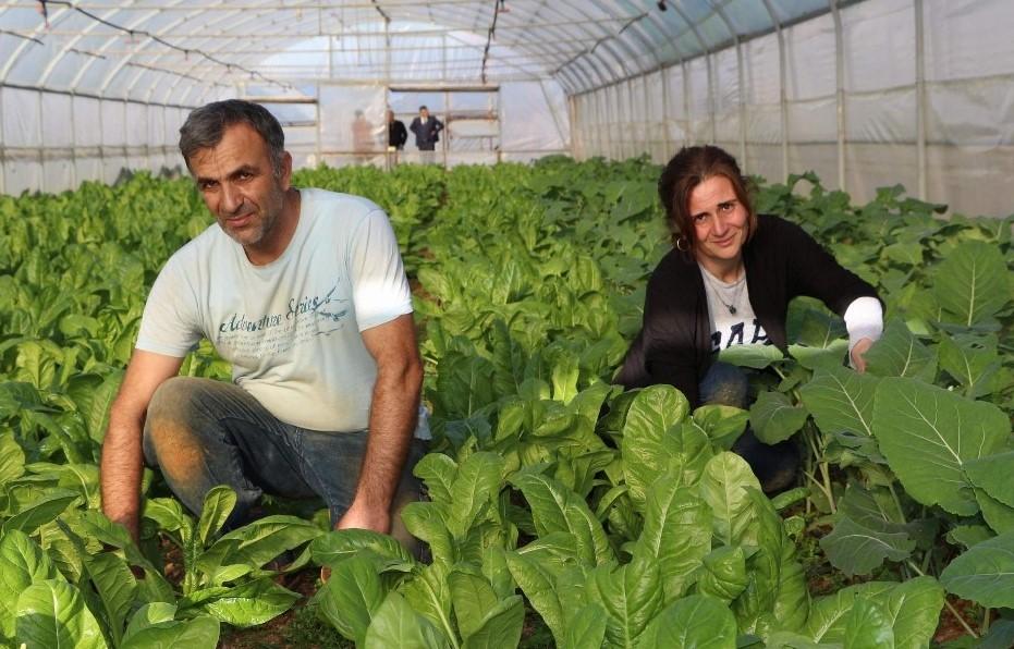 Pazarla başladı, serayla şahlandı