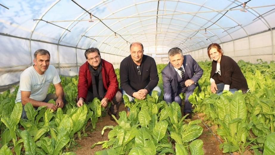Pazarla başladı, serayla şahlandı