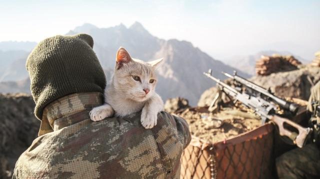 Leman Sam Mehmetçik'e lanet okudu