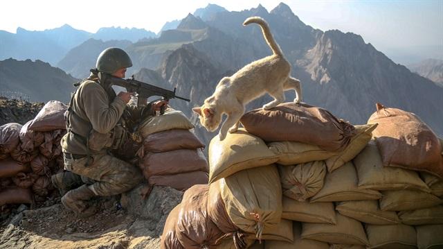 Leman Sam Mehmetçik'e lanet okudu