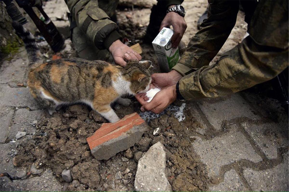Leman Sam Mehmetçik'e lanet okudu