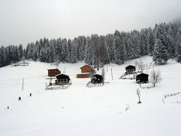 Doğu Karadeniz'e 11 yeni Ayder Yaylası aranıyor