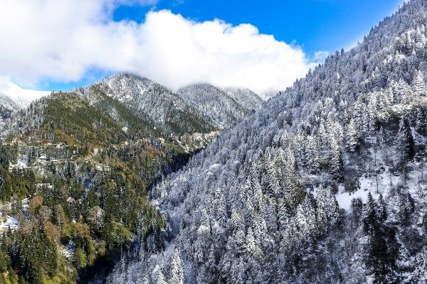 Doğu Karadeniz'e 11 yeni Ayder Yaylası aranıyor
