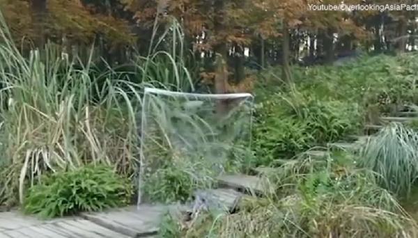 Çin'de ortaya çıkan görünmezlik pelerini