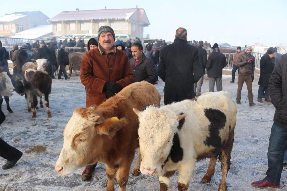 Ağrı hayvan pazarında hayvanların ağzı ve burnu buz tuttu