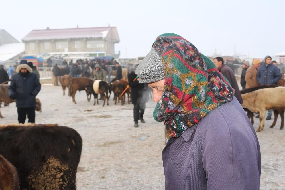 Ağrı hayvan pazarında hayvanların ağzı ve burnu buz tuttu