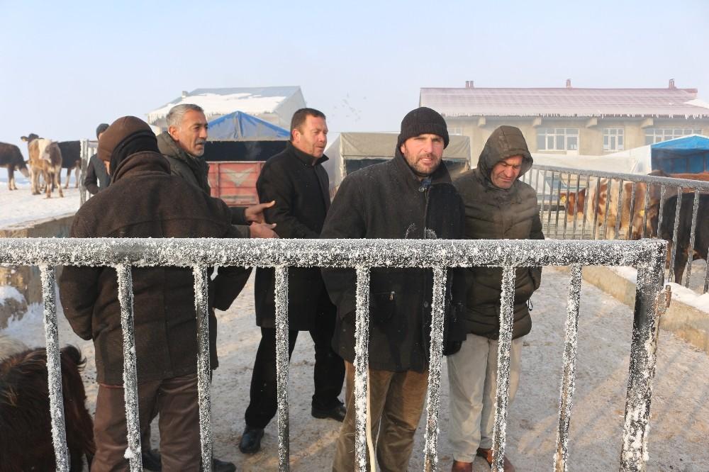 Ağrı hayvan pazarında hayvanların ağzı ve burnu buz tuttu