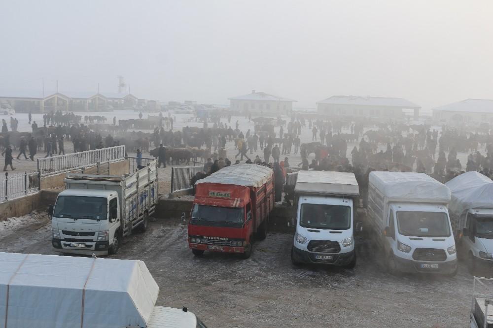 Ağrı hayvan pazarında hayvanların ağzı ve burnu buz tuttu