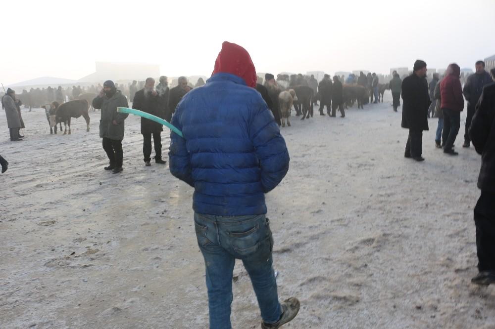 Ağrı hayvan pazarında hayvanların ağzı ve burnu buz tuttu
