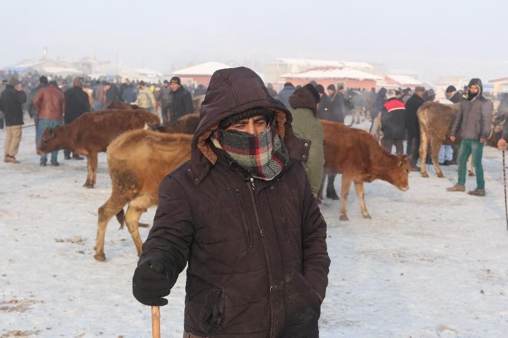 Ağrı hayvan pazarında hayvanların ağzı ve burnu buz tuttu