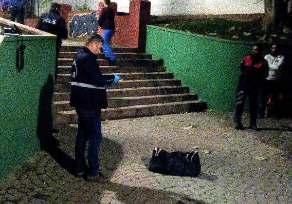 Parkta valize buzla konulmuş bebek cesedi bulundu