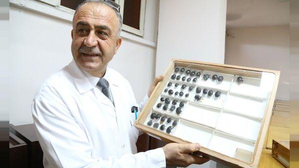 Keşfettiği böceğe babasının adını veren Türk profesör