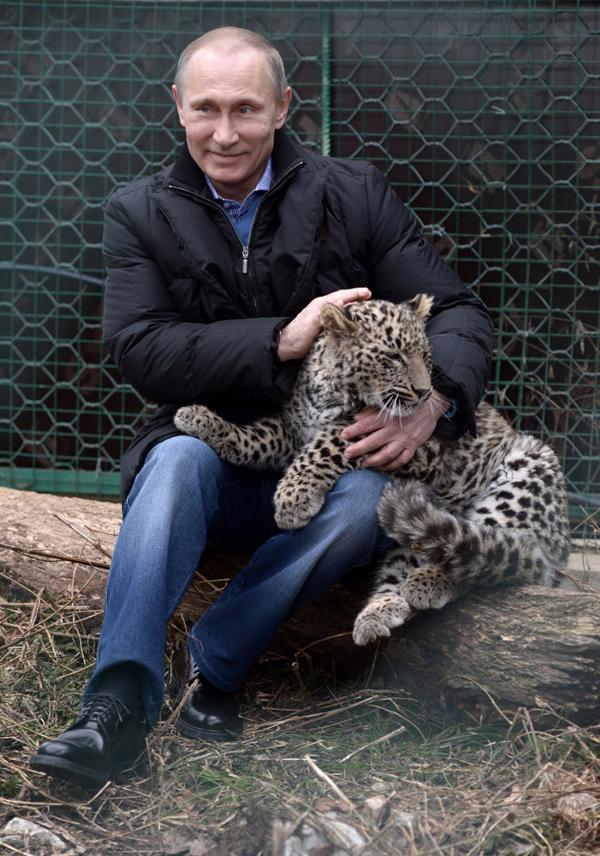 Putin’in leoparı doğaya salındı