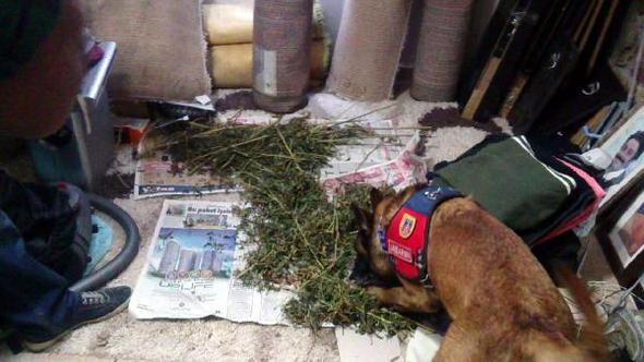 Selim Erdoğan'a uyuşturucudan 6 yıl 7 ay hapis cezası