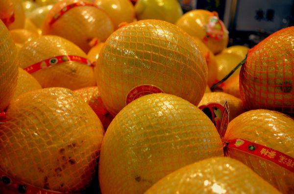 Pomelo nedir