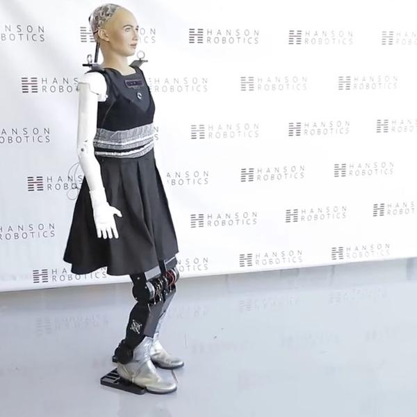 Robot Sophia, bedenine kavuştu