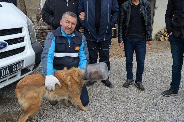 Kafası bidona sıkışan köpek kurtarıldı