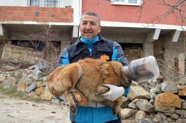 Kafası bidona sıkışan köpek kurtarıldı