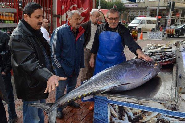 Tezgaha sığmayan dev orkinos ilgi odağı oldu