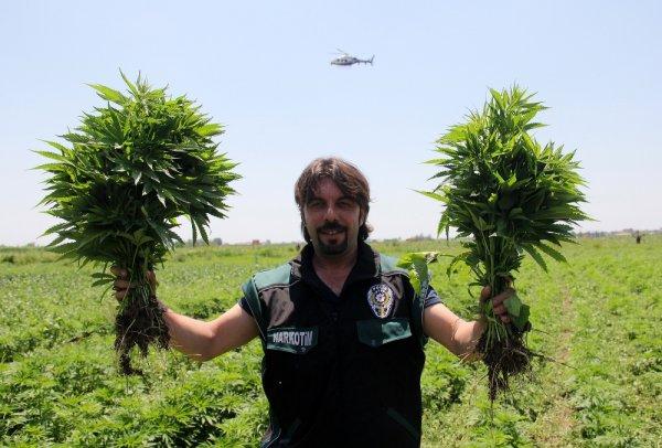Adana'da uyuşturucu operasyonlarının bilançosu