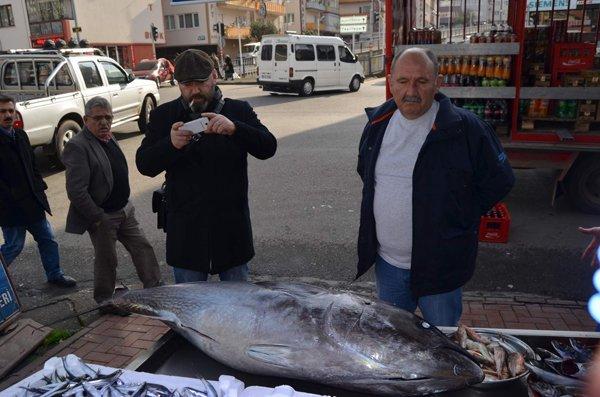 Tezgaha sığmayan dev orkinos ilgi odağı oldu