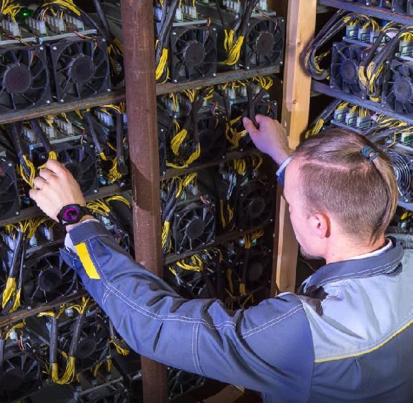 Kanada'da kripto enerjiden bitki üretiliyor