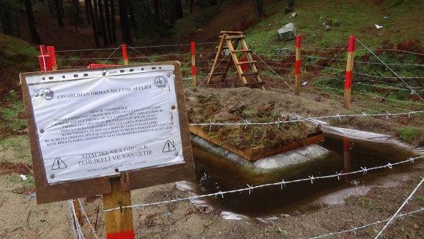 Tırtıl hapishanesi