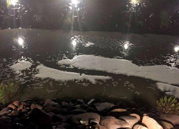 Manisa'da kimyasal atıklar Safran Çayı'na bırakıldı