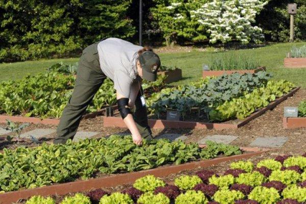 Sakın çöpe atmayın