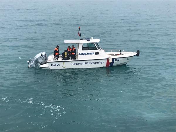 Van Gölü'ne uçan otomobilin sürücüsünü jandarma kurtardı