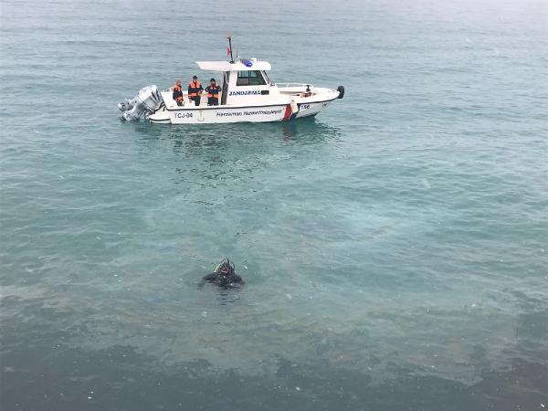 Van Gölü'ne uçan otomobilin sürücüsünü jandarma kurtardı