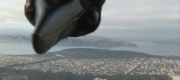 Karga hava durumu programını trolledi