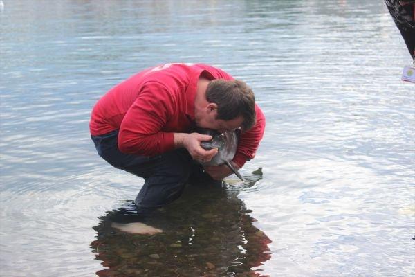 Kıyıya vuran yunus balığı için seferber oldular