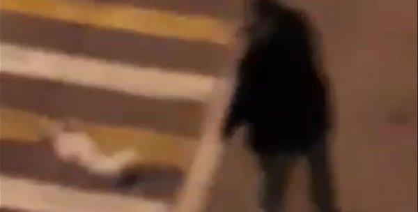 Giresun'da bir kişi baygın köpeği otoyola attı