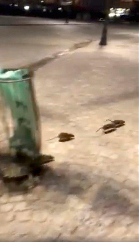 Paris sokakları sular altında kaldı