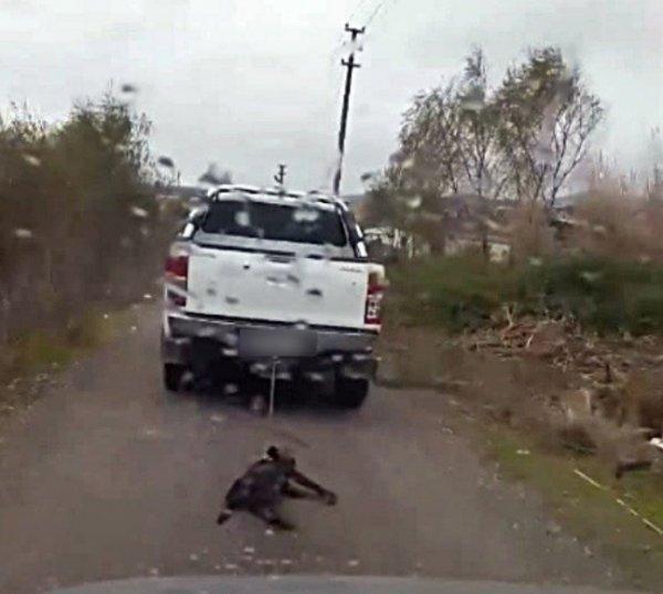 Mersin'de vicdansız adam köpeği aracın arkasında sürükledi