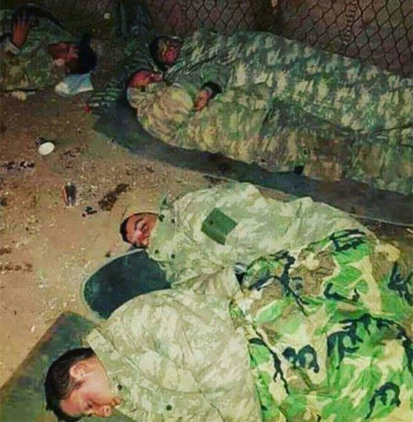 Emel Müftüoğluu: Dertlerimizden utanalım