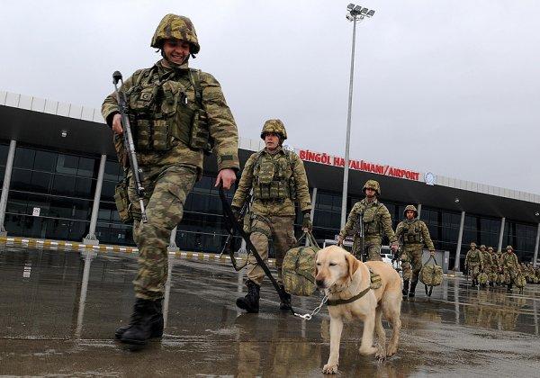 Mayın arama köpeği 'Ayevi' Afrin'de Mehmetçik'in gözü