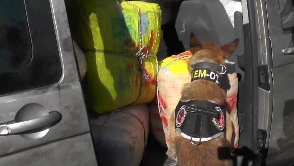 İzmir'de 1.5 ton uyuşturucu ele geçirildi