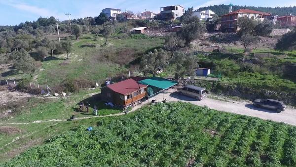 İzmir'de 1.5 ton uyuşturucu ele geçirildi