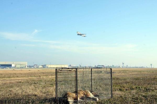 Atatürk Havalimanı'nda özel tim kuruldu