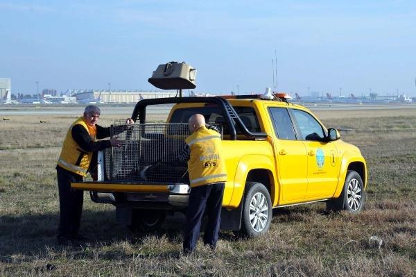 Atatürk Havalimanı'nda özel tim kuruldu