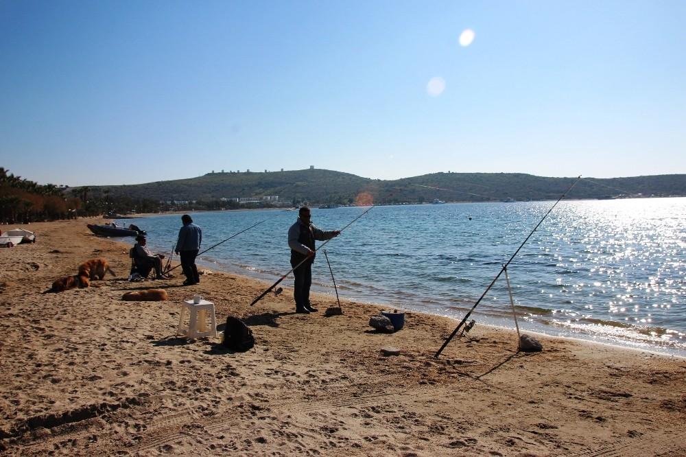 Bodrum ocak ayında yazı yaşıyor
