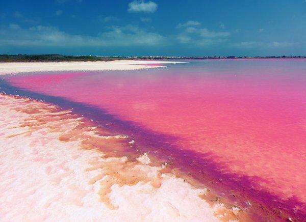 Dünyada 8 pembe göl var, biri Türkiye’de