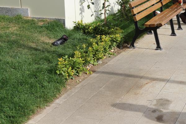 Eşine sinirlenen kadın hastanenin çatısından atladı