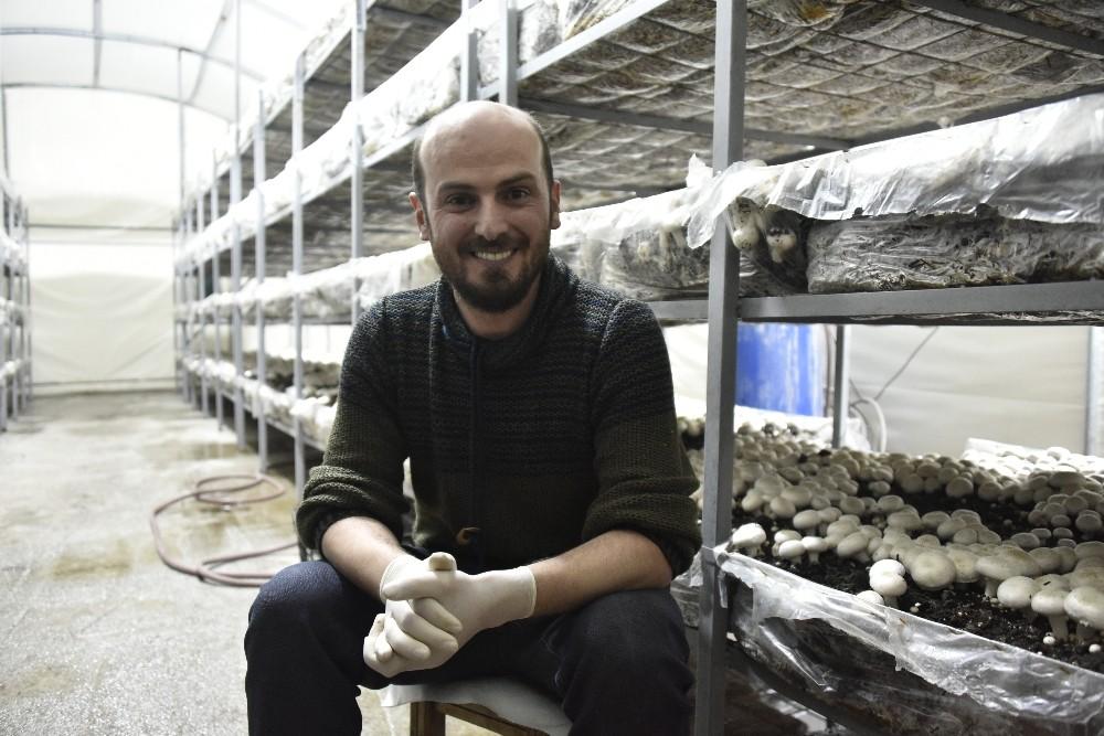 Doğu Karadeniz'in en büyük mantar tesisini kurdu