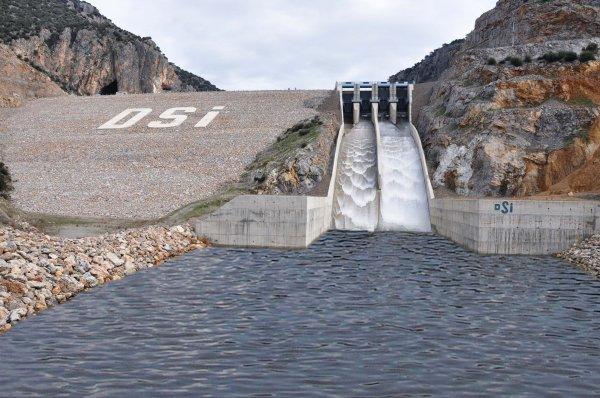 Orman ve Su İşleri Bakanlığı yarasalar için yuva yaptı