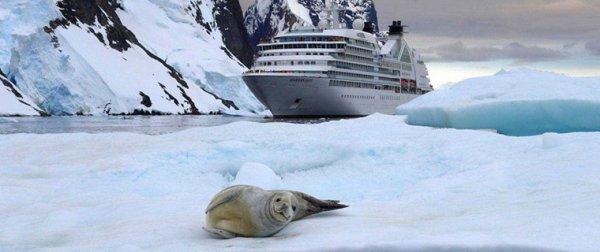 Antarktika’ya gideceğim ama nasıl