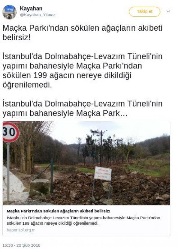 Maçka Parkı'nda ağaç taşıma işlemleri sonlandırıldı